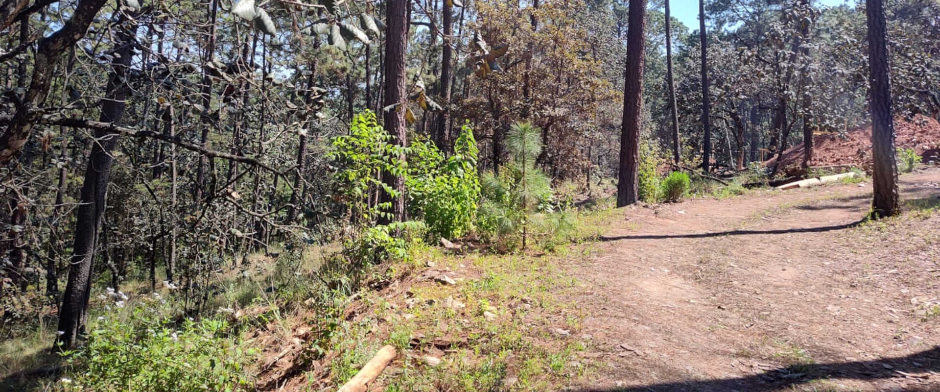 Real Estate Avándaro