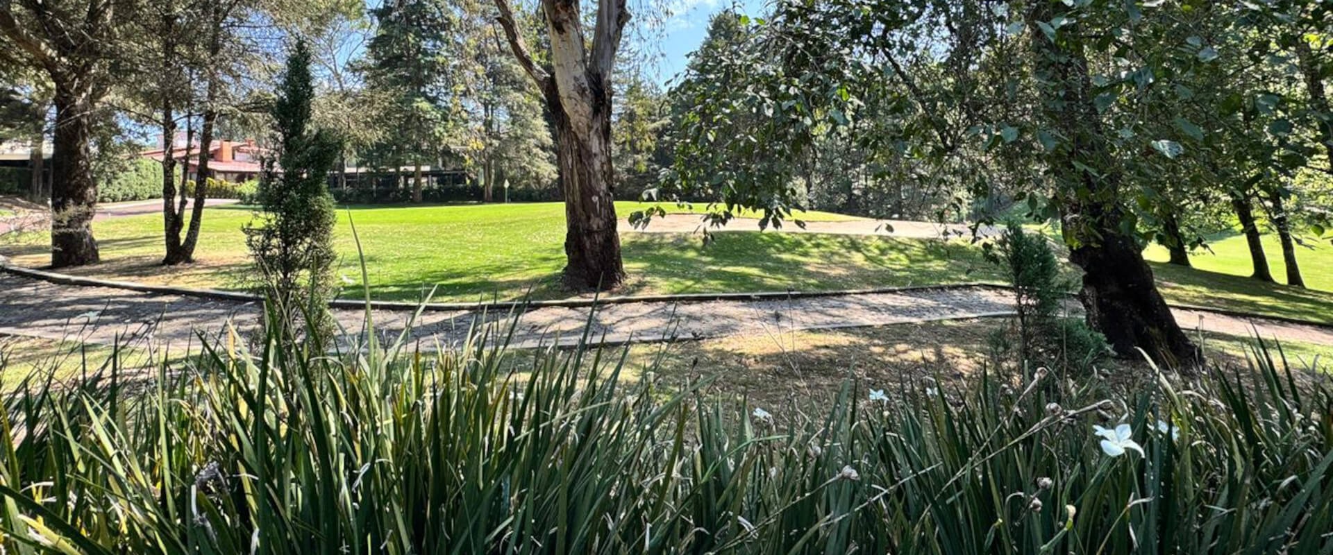 Real Estate Avándaro