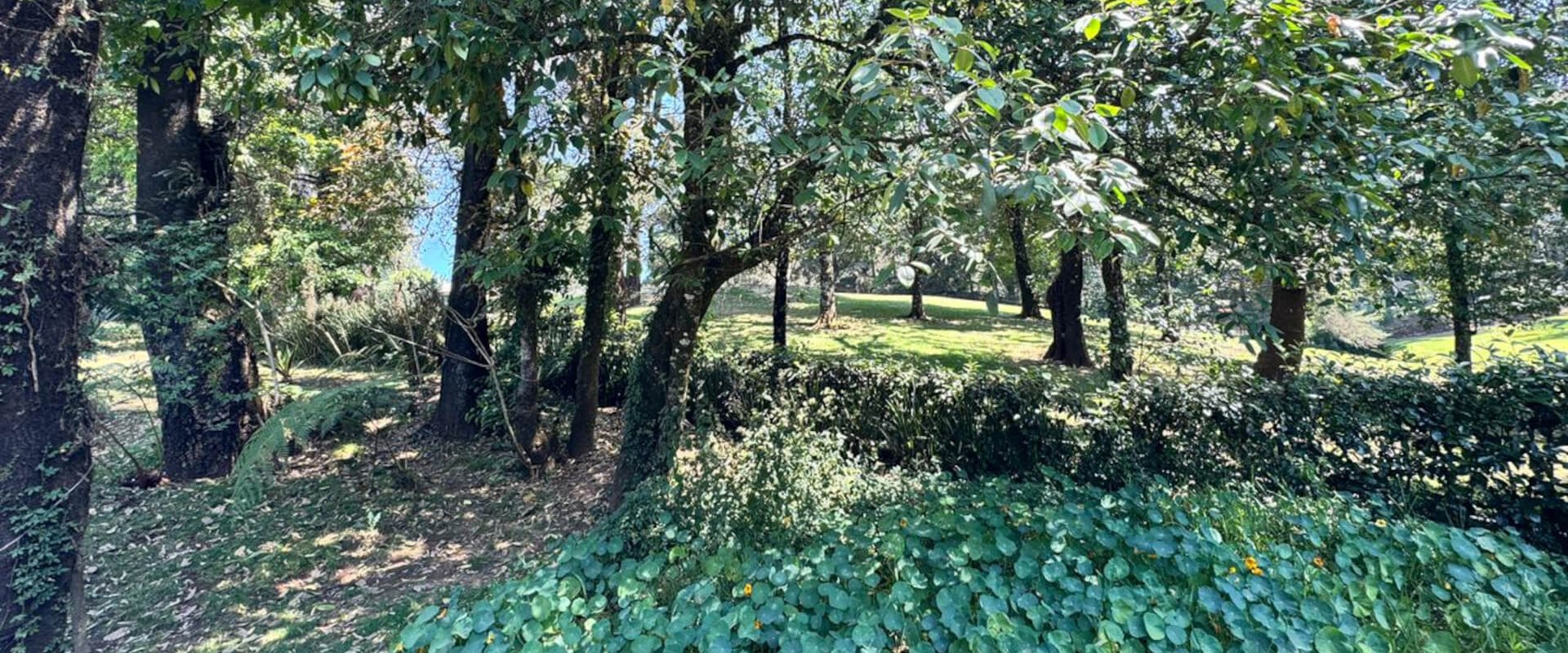 Real Estate Avándaro