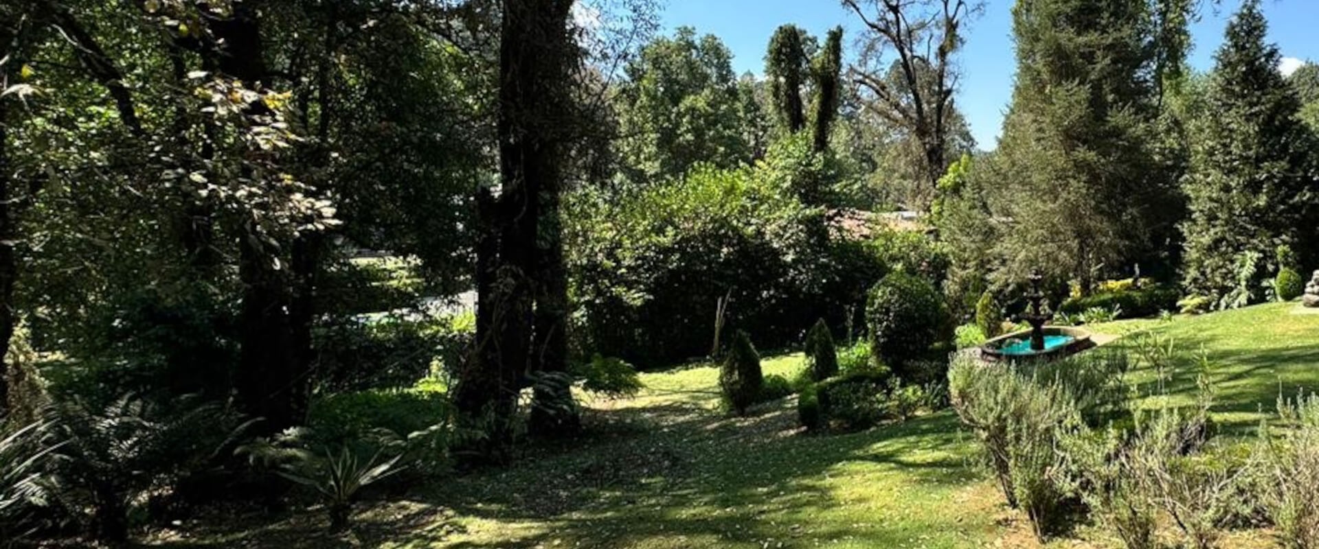 Real Estate Avándaro