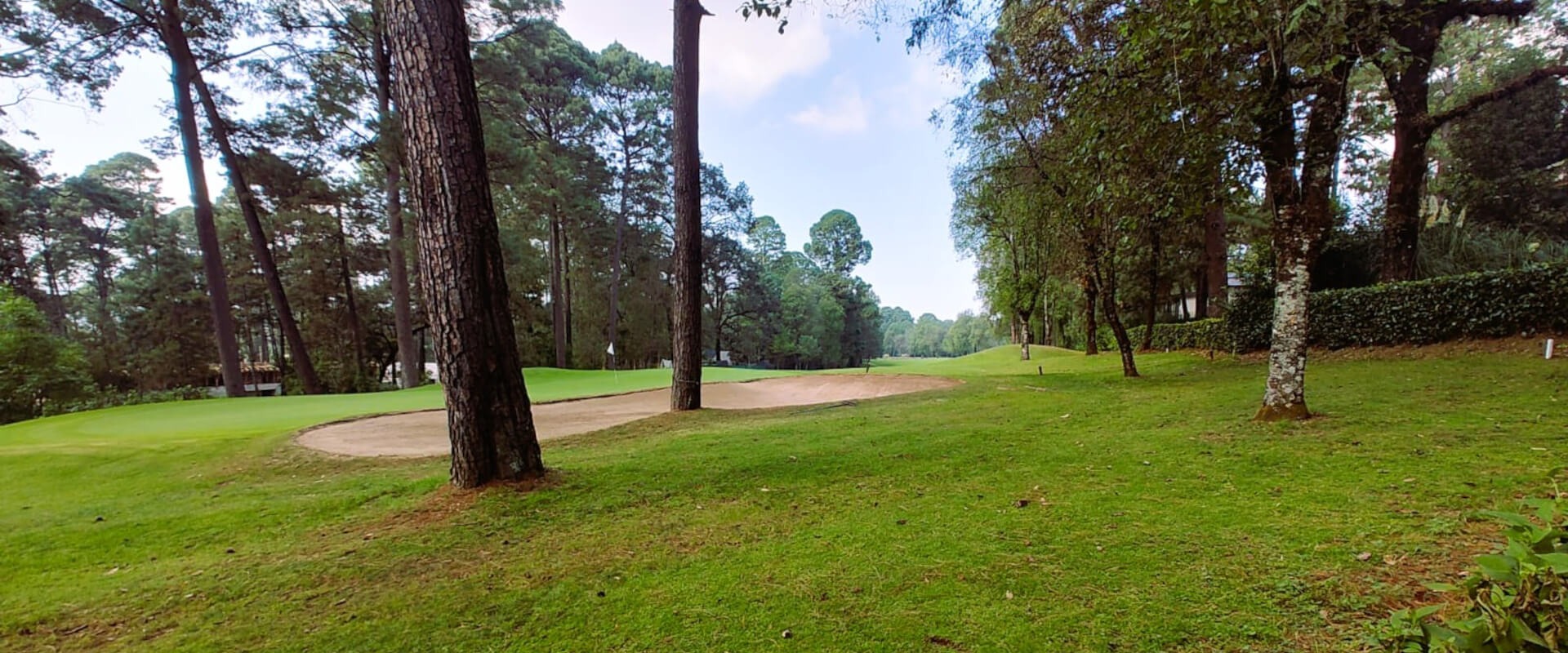 Real Estate Avándaro