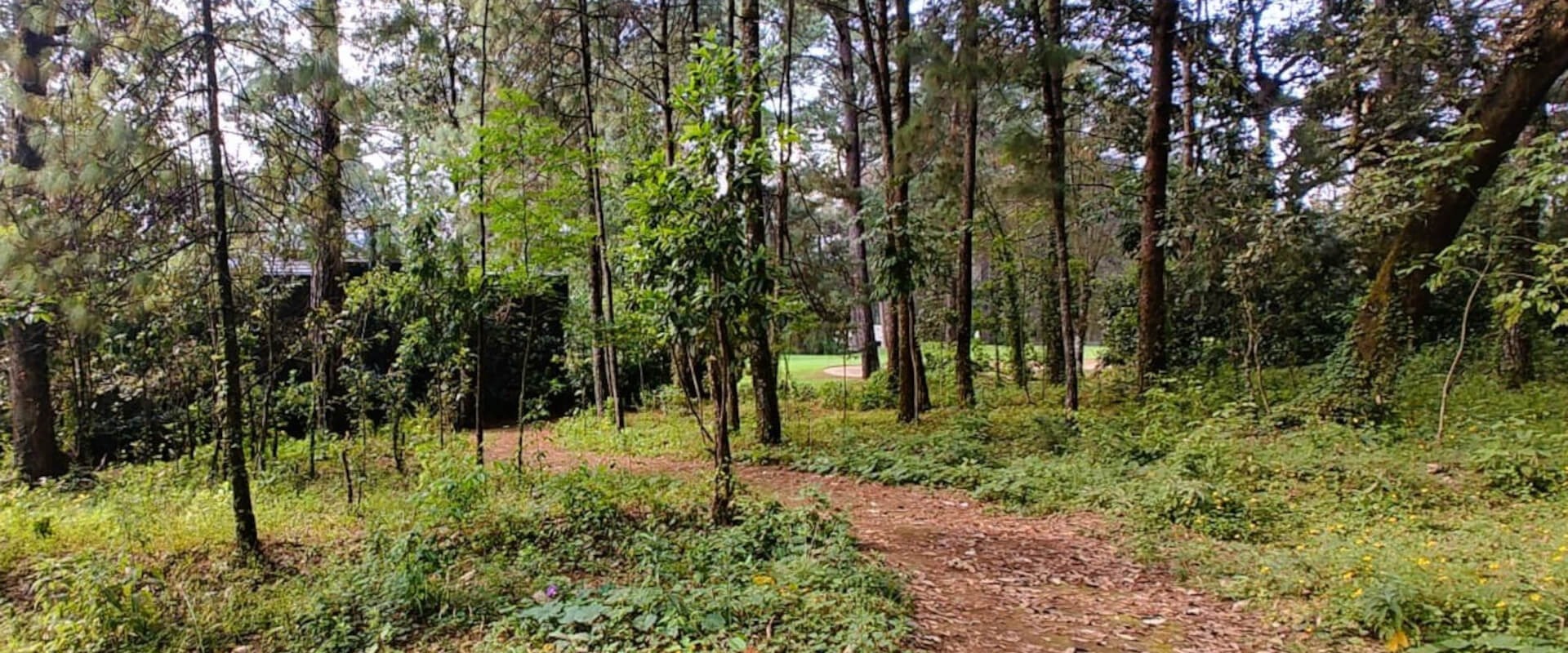 Real Estate Avándaro