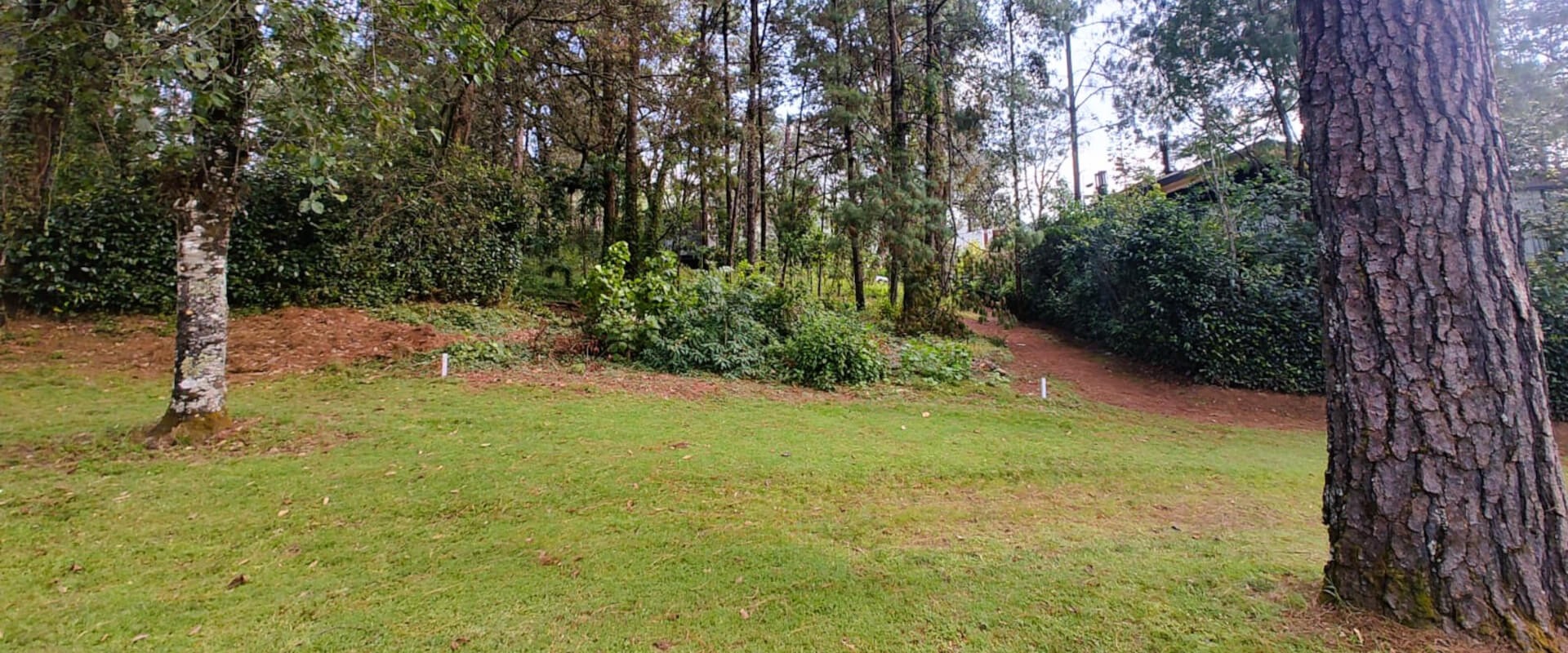 Real Estate Avándaro