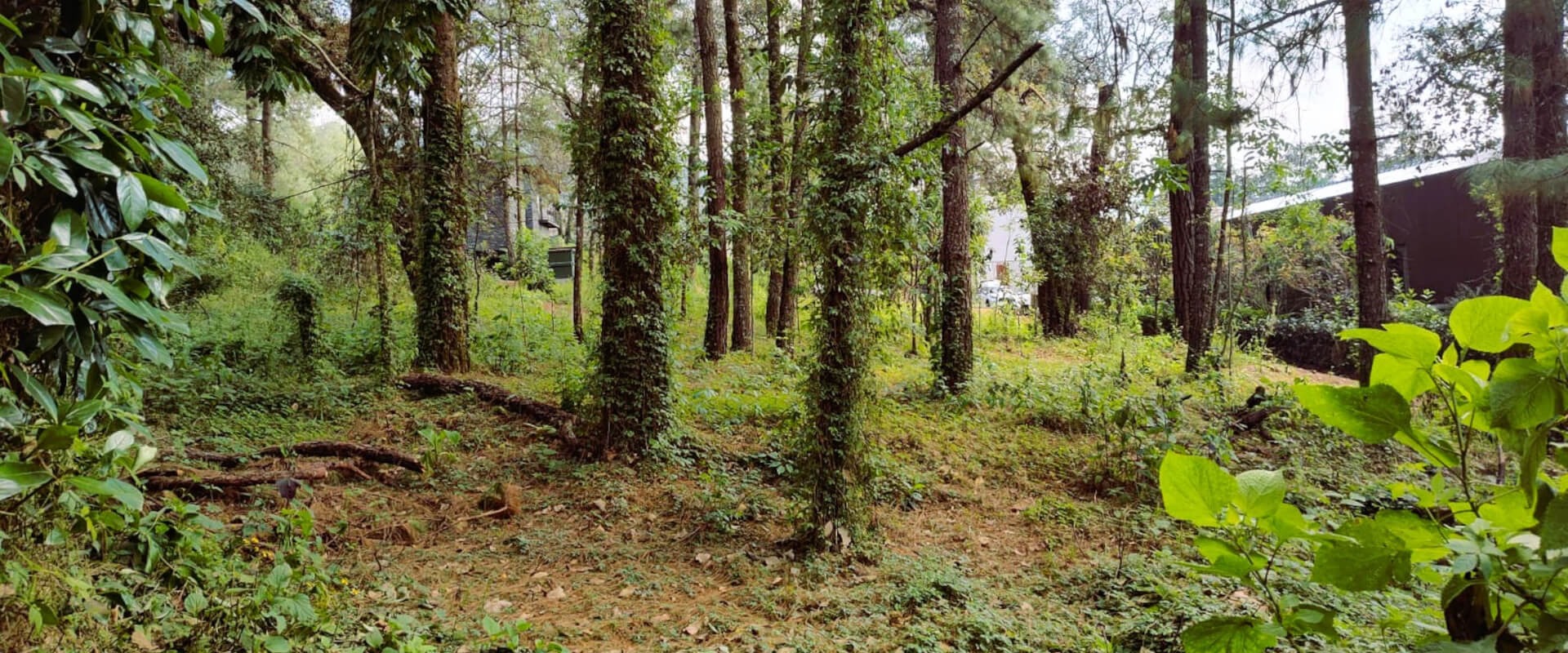 Real Estate Avándaro