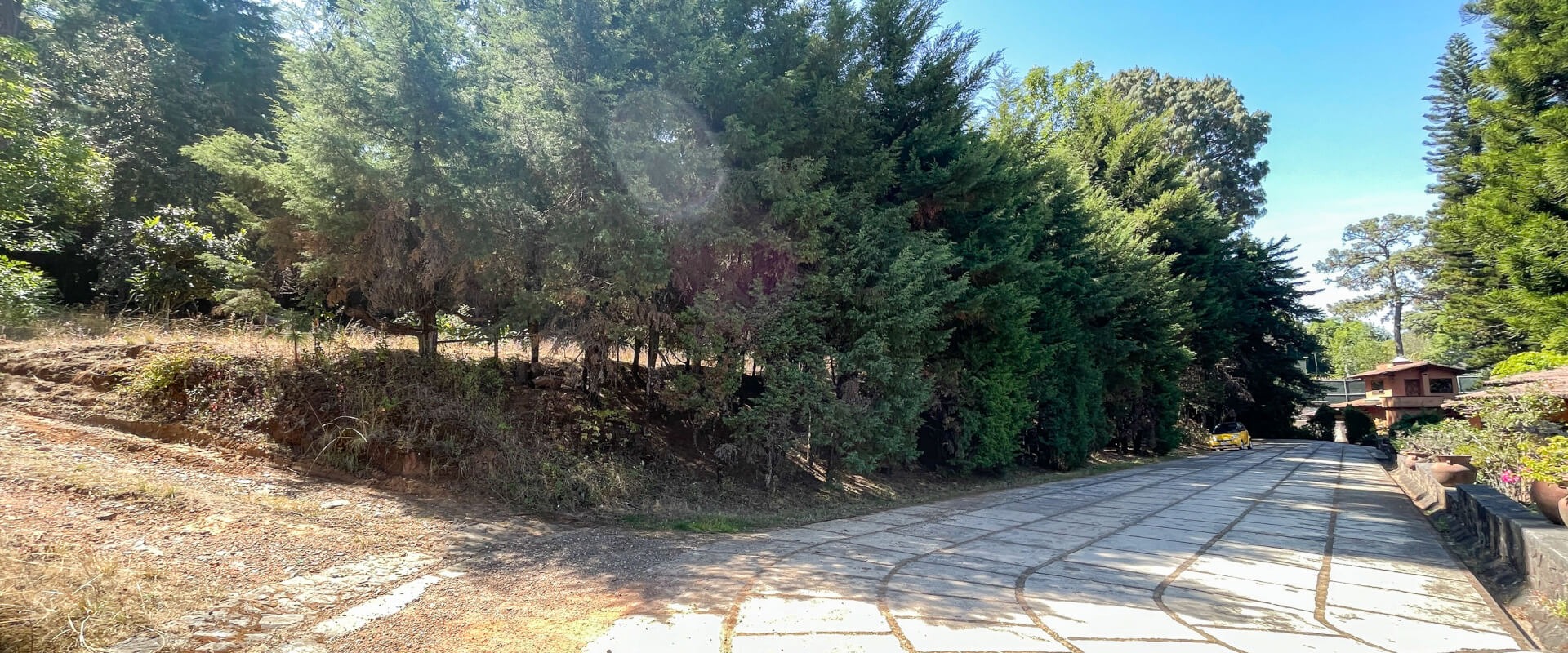 Real Estate Avándaro